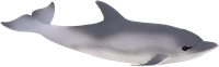 Mojo Jouet Sealife Dauphin Commun - 387358-3