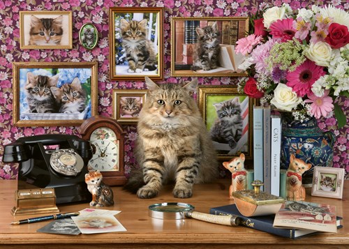 Ravensburger Katzen Puzzle - 1000 Teile Erwachsenenpuzzle