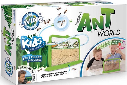 ANT WORLD