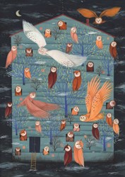 D-Toys puzzle Owl Tales - puzzle 1000 pièces adultes