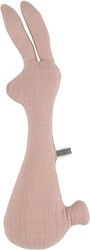 Trixie Rassel - Kaninchen - Bliss Rose 