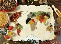 Anatolian Puzzle Herbal World Map - 1000 Teile Jigsaw Puzzle