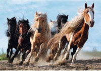 Trefl Galopping Horses - 1,000 pieces