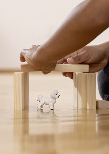Schleich 13963 Farm World Bichon Frise Hond-2
