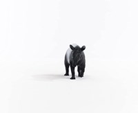 Schleich Wild Life Tapir - Spielfigur - Kinderspielzeug 14850-2