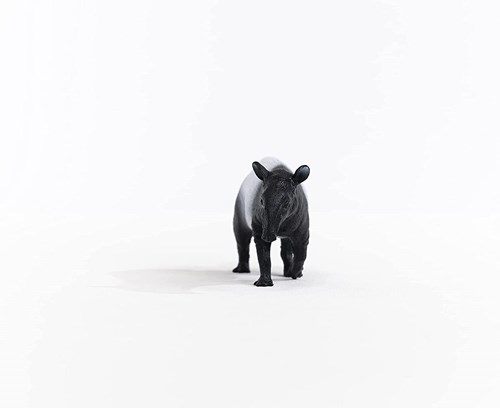 Schleich Wild Life Tapir - Spielfigur - Kinderspielzeug 14850-2