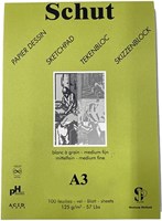 Schut papier Schut Dessin Groen Tekenblok A3 125gr 100 vel