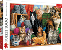 Trefl Cats Meeting - 1,000 pieces
