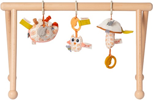 Van Dijk Toys & Dolce Holz Babygym Earth (Kinderbetreuungsqualitt)-3