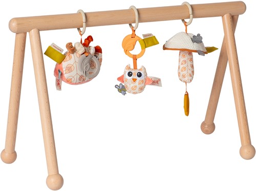 Van DIjk Toys_Babygym_03