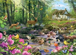 Gibsons Woodland Glade - 1000 Teile