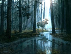 SunsOut puzzle XXL Caught by Light 300 pièces jeu de puzzle