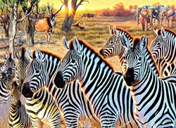 SunsOut puzzle XXL - Zèbres et Amis - 500 pièces animaux