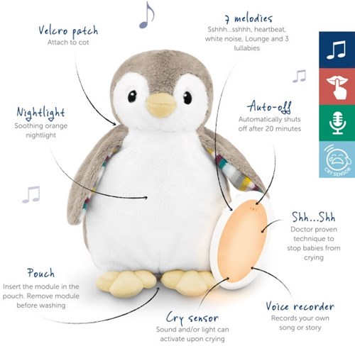 Zazu Baby Schlaf Susher Pinguin Phoebe mit Nachtlicht und Musik-2